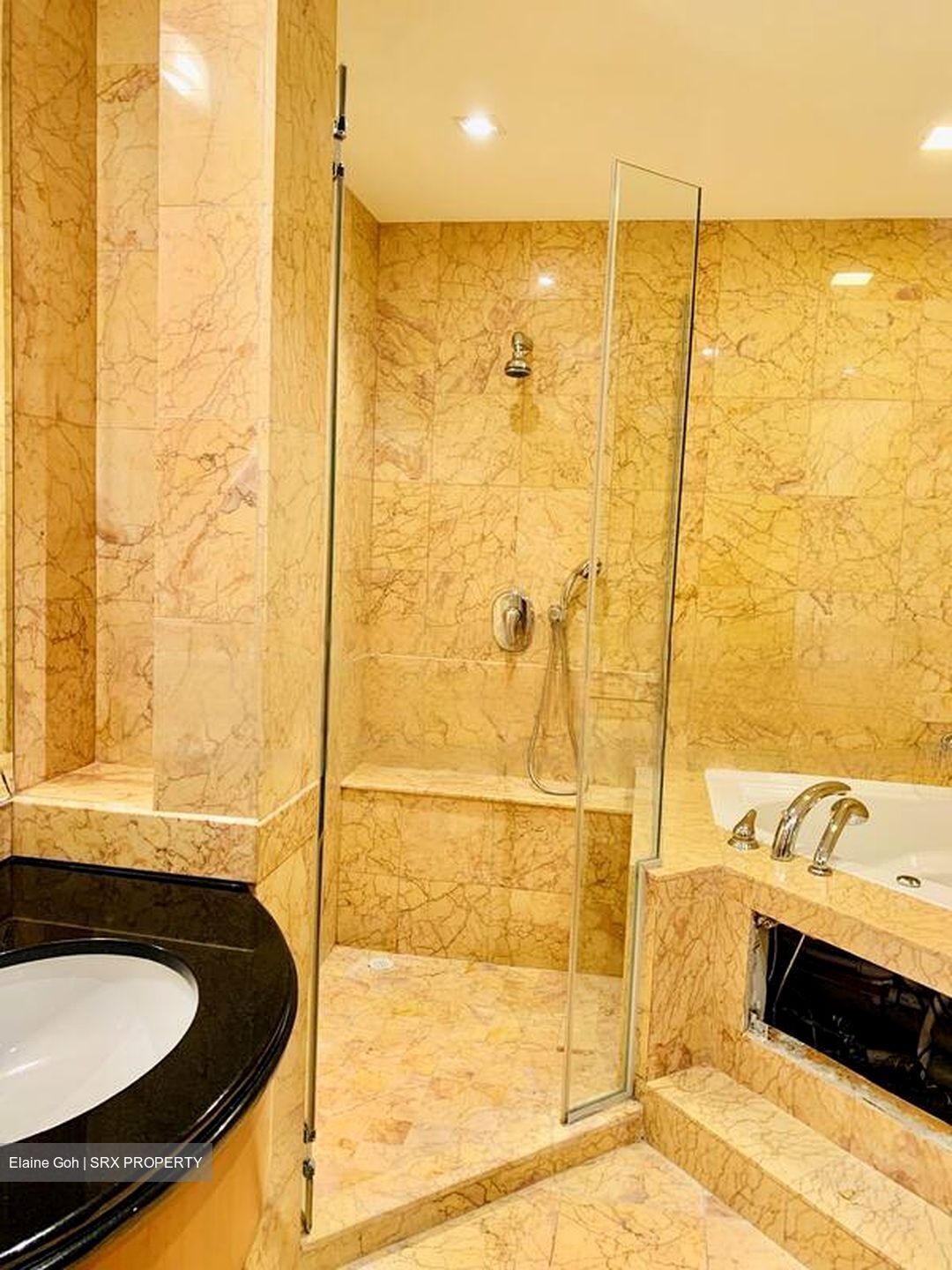 Orchard Scotts (D9), Condominium #477255881